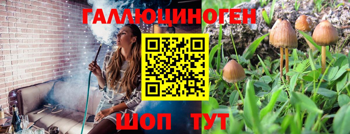 Галлюциногенные грибы прущие грибы Ростов Великий