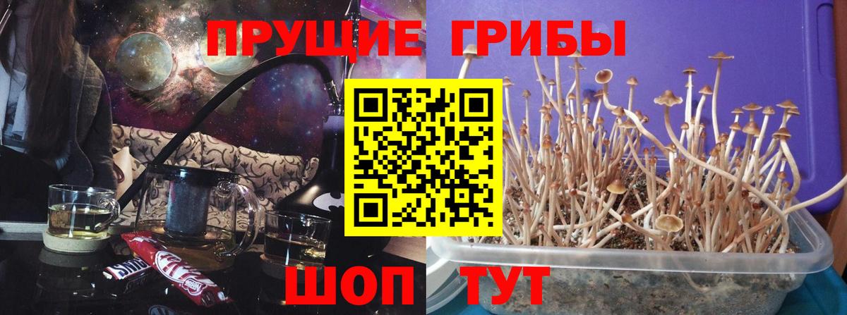 Ростов Великий  Галлюциногенные грибы GOLDEN TEACHER  где найти наркотики  Вход с VPN 